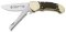 Puma Knife: Puma Custom Stag Antler Handled Lock Back Folding Knife