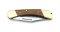Puma Knife: Puma Deer Hunter Full Sized Folding Lock Knife with Plumwood Handle
