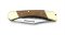 Puma Knife: 2018 Puma Deer Hunter Full Sized Folding Lock Knife with Plumwood Handle