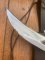 Puma Knife: 1979 Puma Skinner 'USER' with Stag Handle #24972