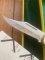Puma Knife: Puma 1981 Rare model 905 Duke Folding Knife with Stag Handle Original Box and matching Warranty #15181