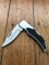 Puma Knife: Puma Mint 280850 Brushed Aluminium/Stainless/Wood Lord Folding Lock Knife