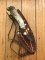 Ken Richardson Custom Handmade 4" Drop Point Blade Hunting Knife with Deer Antler Handle & Custom Sheath