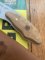 Puma Knife: 2023 Puma SGB Rattler Fixed Blade Knife with Olive Wood Handle
