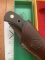 Puma Knife: Puma Original 1985 4 Star Fixed Blade Knife with Black Micarta Handle in Dark Brown Puma Sheath & Box