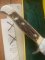 Puma Knife: Rarer 1981 Puma 6373 Skinner with Stag Antler Handle Correct Box and Warranty