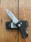 Puma Knife: 2004 Puma 4 Star Mini Folding Lock Knife with Black Buffalo Horn Handle