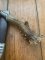 1960's-70's DES Brand Jagdnicker Knife with ROE Buck Antler Handle & Sheath