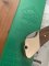 Puma Rare model 970 Game Warden 1993 Folding Lock Knife in box #49392