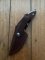 Buck Knife: Buck 196 Mini Alpha Hunter Cocobolo Handle & Leather Sheath