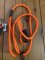 Long Dog Lead: Professional 10 metre Clip Dog Training Blaze Long Lead and 130cm Blaze Slip Lead Combo