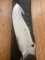 Puma Knife: Puma Rare 132001 2002 Huntac Tactical Survival Knife with Gut Hook