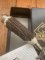 Puma Knife: Puma Muffel ( Grumpy) JagdNicker Knife