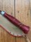 Puma Knife: Puma Rare Version 1981 SEA HUNTER 17 6363 in Original Sheath