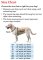 Avery Standard Neoprene 3mm Dog Vest in Killer Weed Camo - 3XL