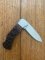 Puma Knife: 2010 Puma 4 Star Mini Folding Lock Knife with Red Jigged Bone Handle