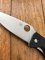 Spyderco Tenacious Straight Edge Lock Back Folding Knife