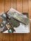ESEE Knives- ESEE-3 Knife with Ivory Beige Micarta Handle & OD Green Kydex Sheath