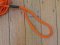 Long Dog Lead: Professional 10 metre Dog Trainer Blaze Orange Lead with Closed Loop