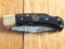 Croco Knife: 3002 Damascus bladed Folding lock Knife with Buffalo Horn handle