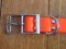 SOS Blaze Orange Dog Collar 2.5cm Wide 65cm with Silver Buckle