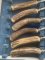 ASHBERRY Sheffield England 1930's-50's 12 Piece Stag Handled Knife & Fork Set.