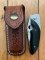 Spyderco VIELE 2 Japanese Straight Edge Lock Back Folding Knife with Pouch