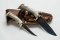 Ken Richardson Custom Handmade 4" Fillet Knife and 5.5" Drop Point Blade Piggy Back Set Deer Antler Handle & Custom Sheath