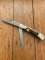 Puma Knife: Puma Grand Trapper Large Lockback Knife with Stag Handle