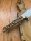 Puma Knife: 1985 Puma Skinner 'USER' with Stag Handle #41582