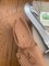 Puma Knife: Puma 1983 rare & original 12 6391 BUND knife in original Sheath, Box, & Warranty Tag