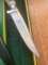 Puma Knife: Puma 1980's Gnicker Knife with Stag Handle & Original Green & Yellow Box