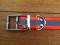 Blaze Orange and Reflective Dog Collar - Small (27.5cm to 35cm)