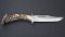 Silver Stag Crown Series Deep Valley Knife with Stag Antler Handle