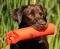 Dog Training Dummy: RRT 3" Cordura Orange Dummy 13" Long