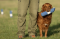 Gun Dog Training Target Line Marking Dummy Single