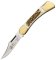 Puma Knife: 2011 Puma Earl Folding Knife with Stag Antler Handle