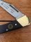 Puma SGB Knife: Puma SGB Whitetail Folding Pocket Knife