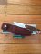 Buck Knife: Buck 403 Big Sky Knife with Walnut Laminated Handle