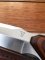 Buck Knife: Buck 403 Big Sky Knife with Walnut Laminated Handle