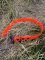 SOS Blaze Orange Dog Collar 2.5cm Wide 65cm with Black Buckle