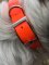 SOS Blaze Orange Dog Collar 2.5cm Wide 65cm with Silver Buckle