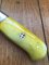 SOSDF Knife: 200 Layer Damascus Yellow Camel Bone Skinning Knife