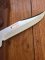 Puma Knife: Puma 2001 Bowie II Special Edition Handmade Knife with Stag Antler Handle
