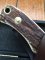 Puma Knife: Puma 2017 Model Skinmaster with Stag Handle