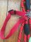 Dog Lead: Red/Black/Yellow-flecked Heavy Duty Dog Lead with chain and collar