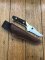 Puma Knife: Puma Buddy 2001 'Laser Cutout' with Stag Handle