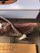 Silver Stag Tool Steel Series Skinner Stag Antler Handle