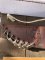 Silver Stag Tool Steel Series Skinner Stag Antler Handle