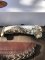 Silver Stag Crown Series Pacific Bowie Knife with Stag Antler Handle